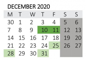 Au-Pair-Orientation-Dates-2020-12
